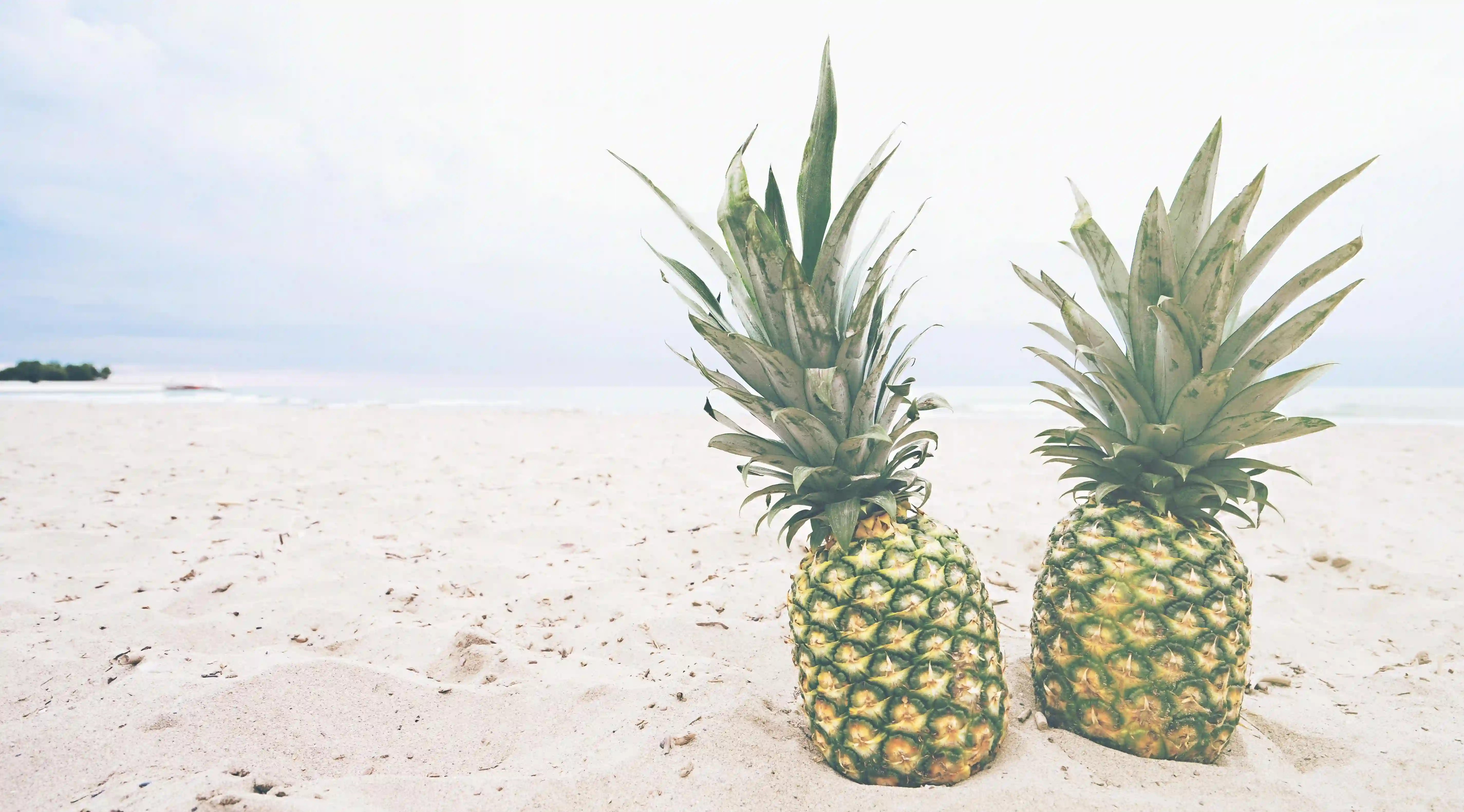 揭開神秘面紗：六個常見自慰誤解如何影響夫妻關係？