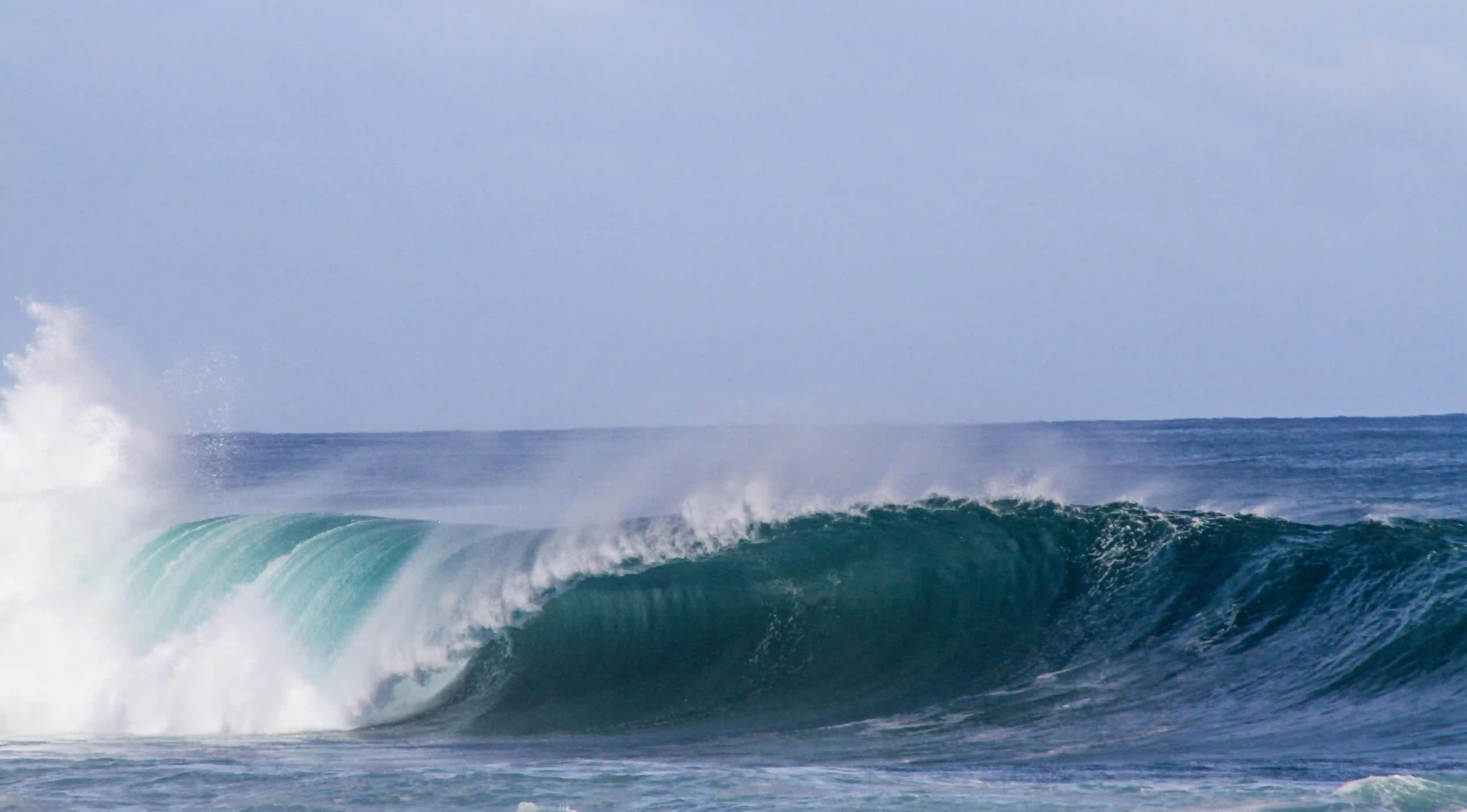 男朋友生日送花？這五個理由讓你無法拒絕！