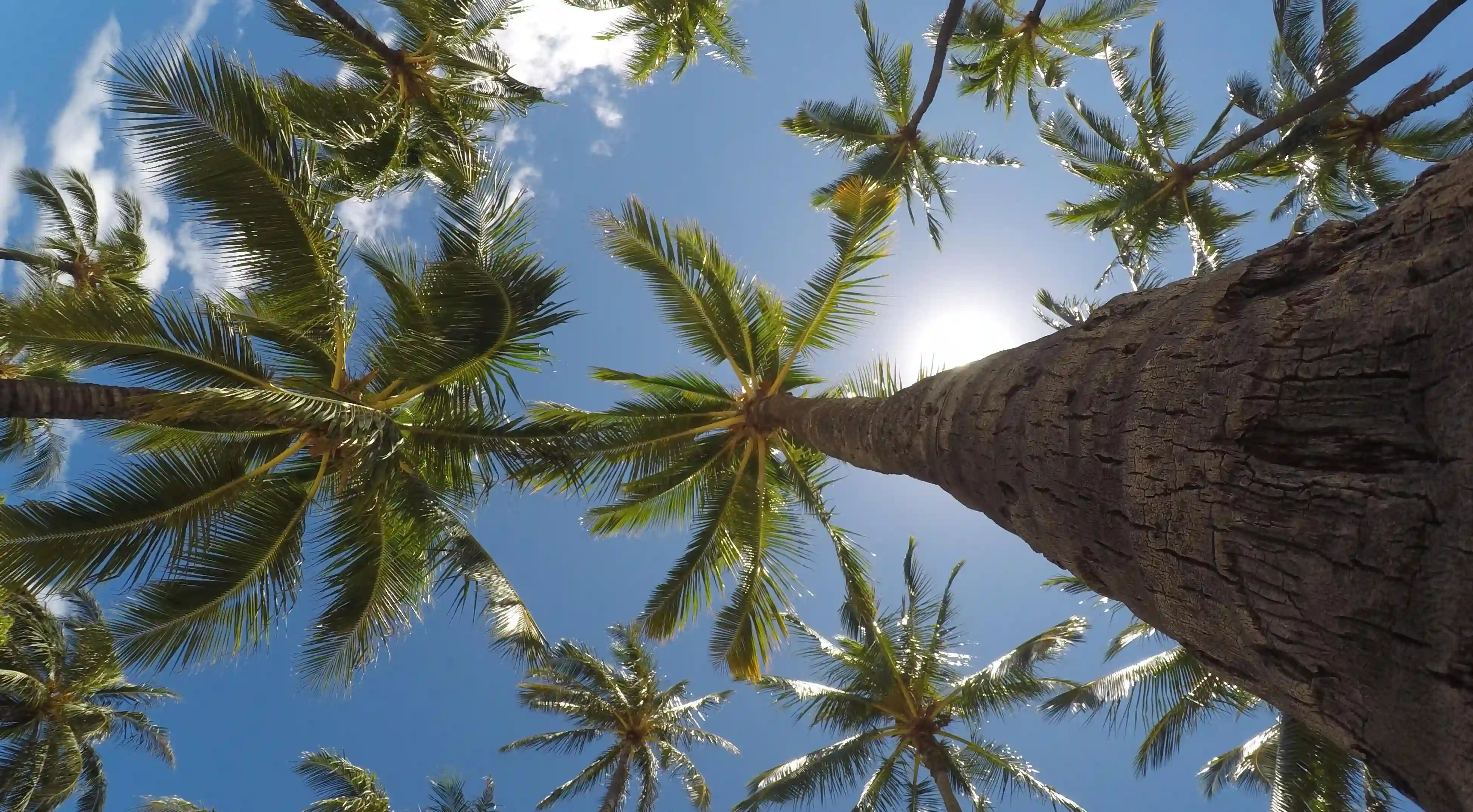 如何成功複合？揭開分手後重拾愛情的七個祕訣