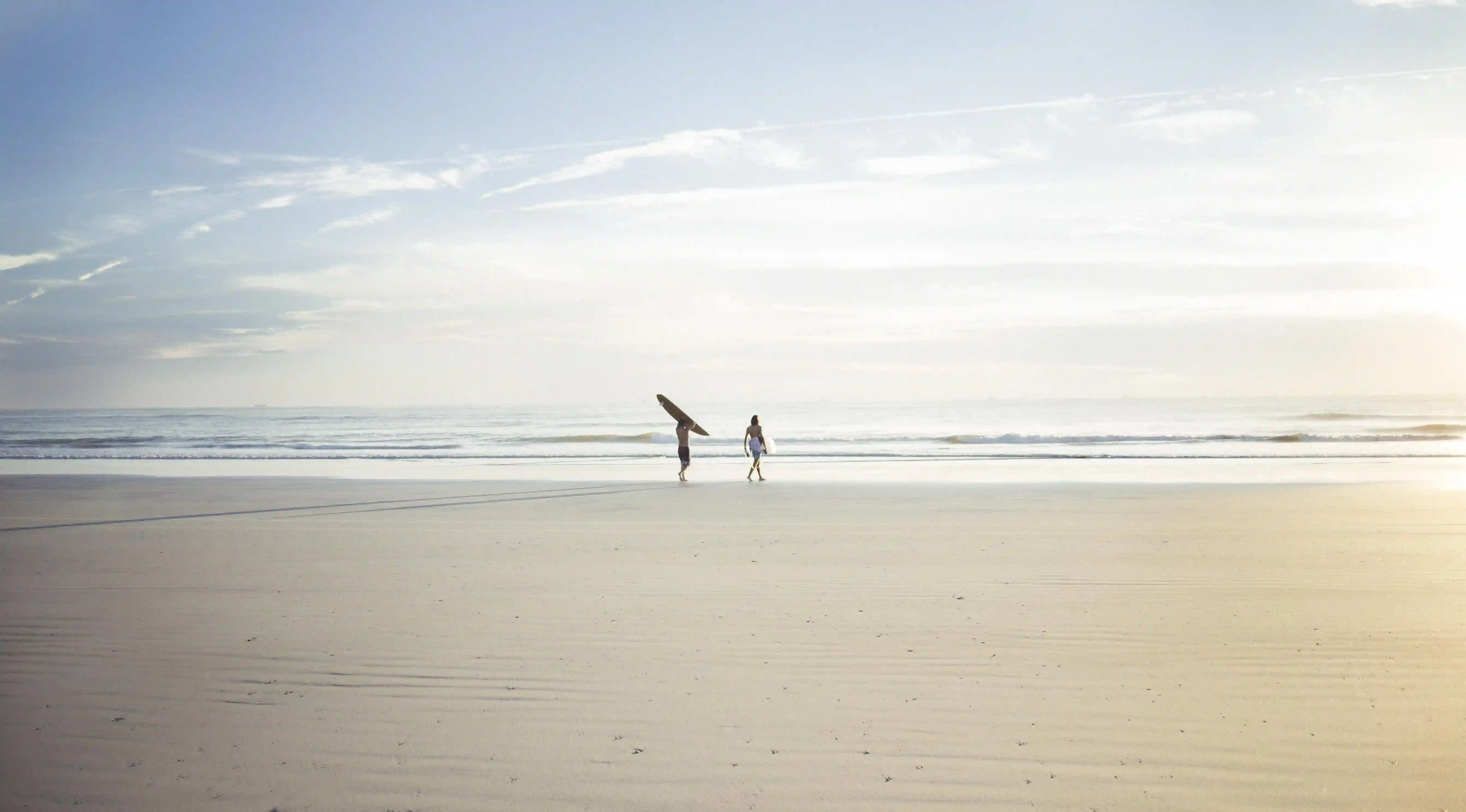 了解“鐵憨憨”：這五個事實將顛覆你的認知！