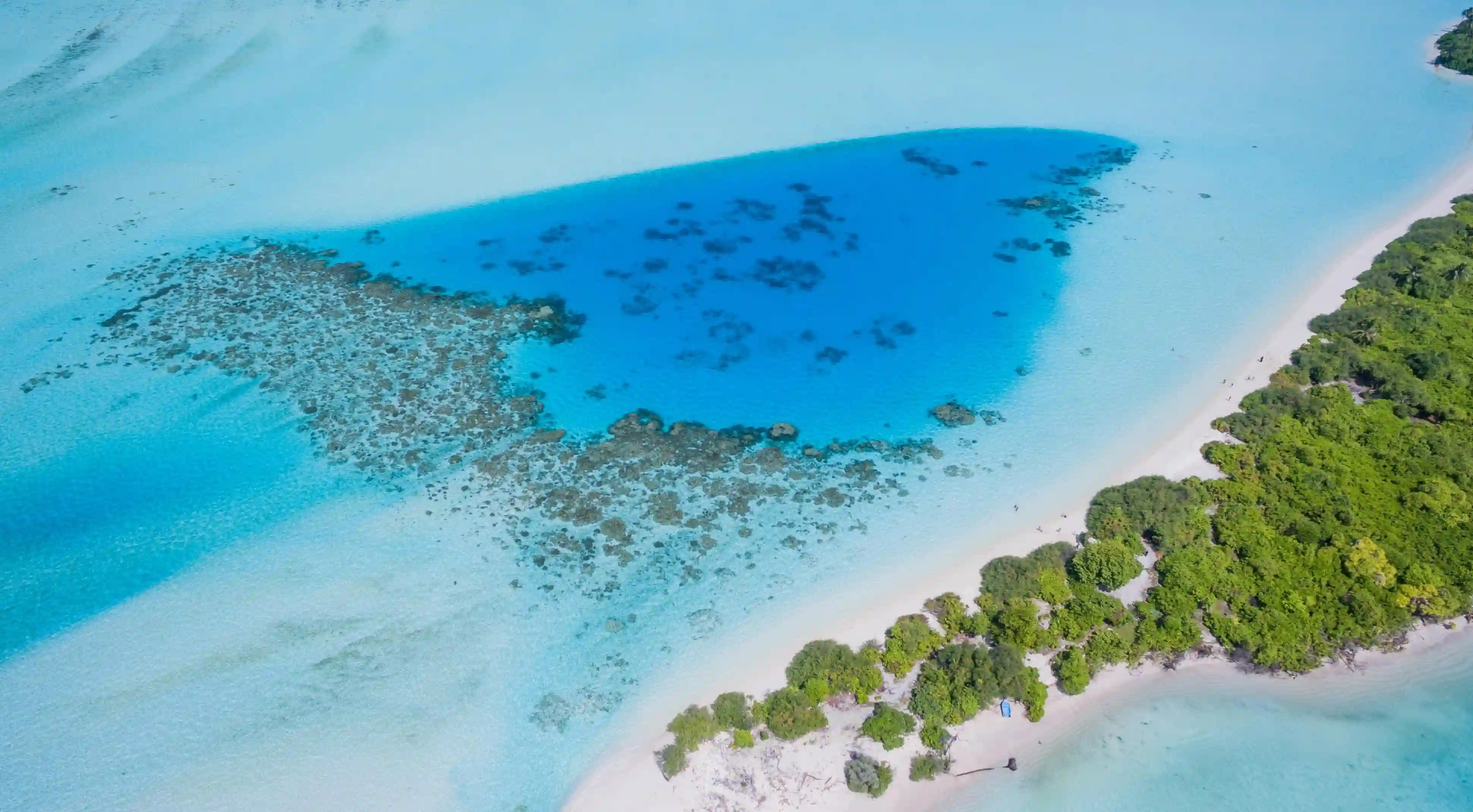 揭開男性勃起硬度的秘密：你可能不知道的四級標準與變改善的方法