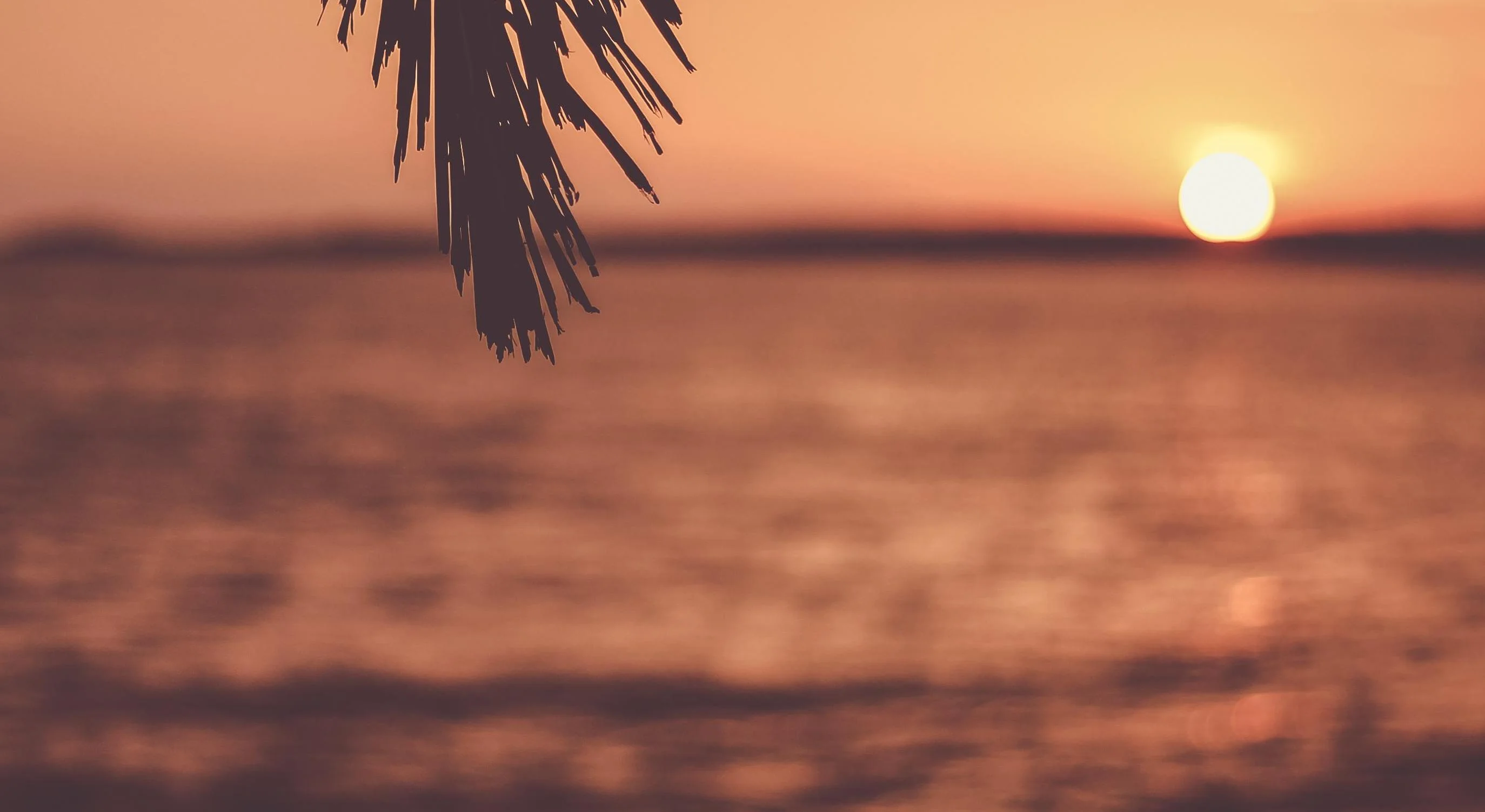 五個意想不到的性愛時間，讓你重新定義激情與親密