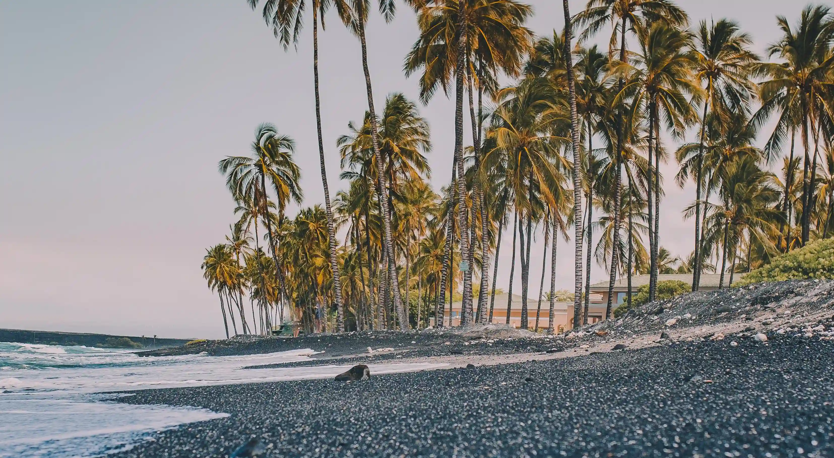 揭開愛情的面紗：五種你絕對不知道的愛情形式