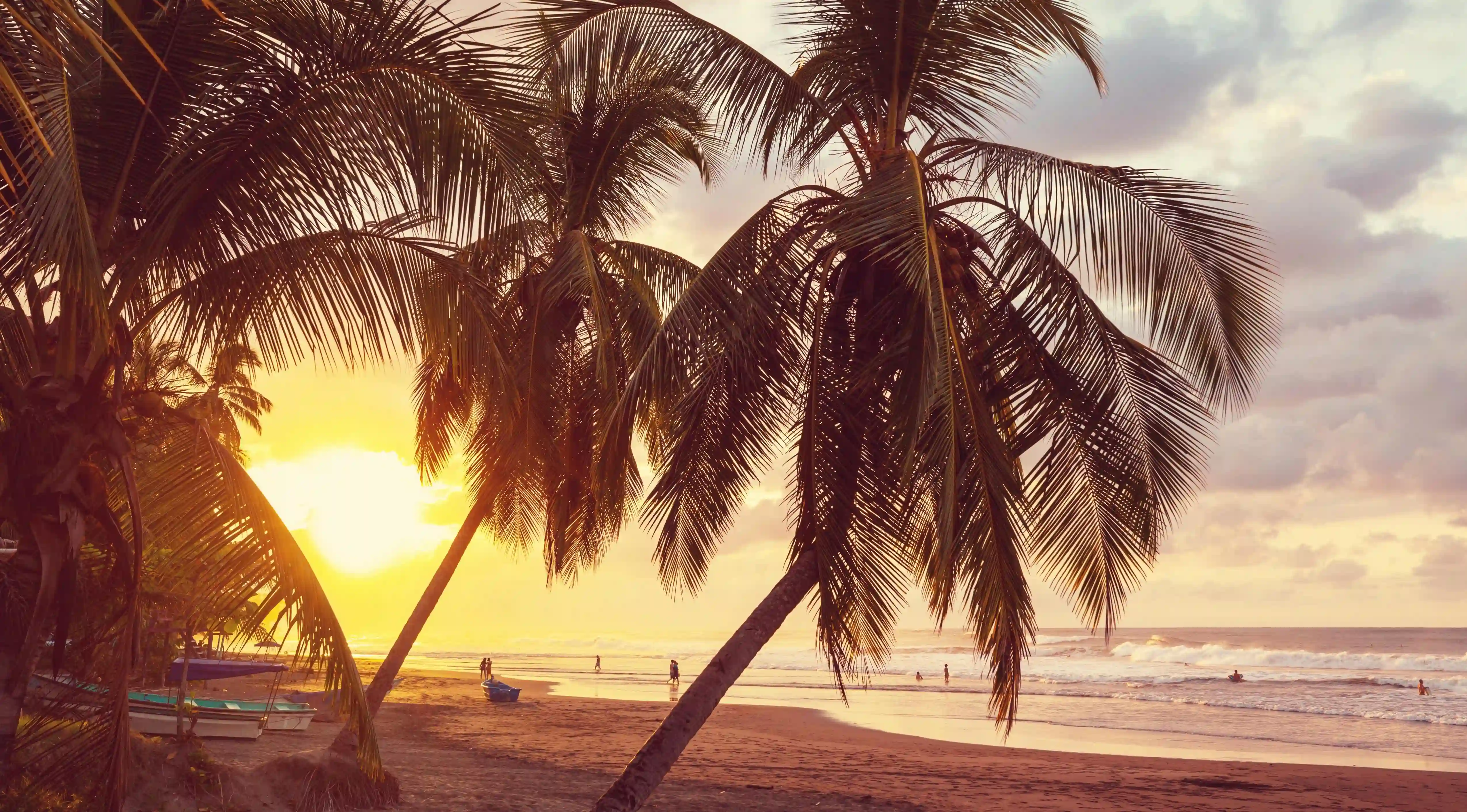 如何巧妙拒絕同事的追求？揭開辦公室戀情的隱秘面紗