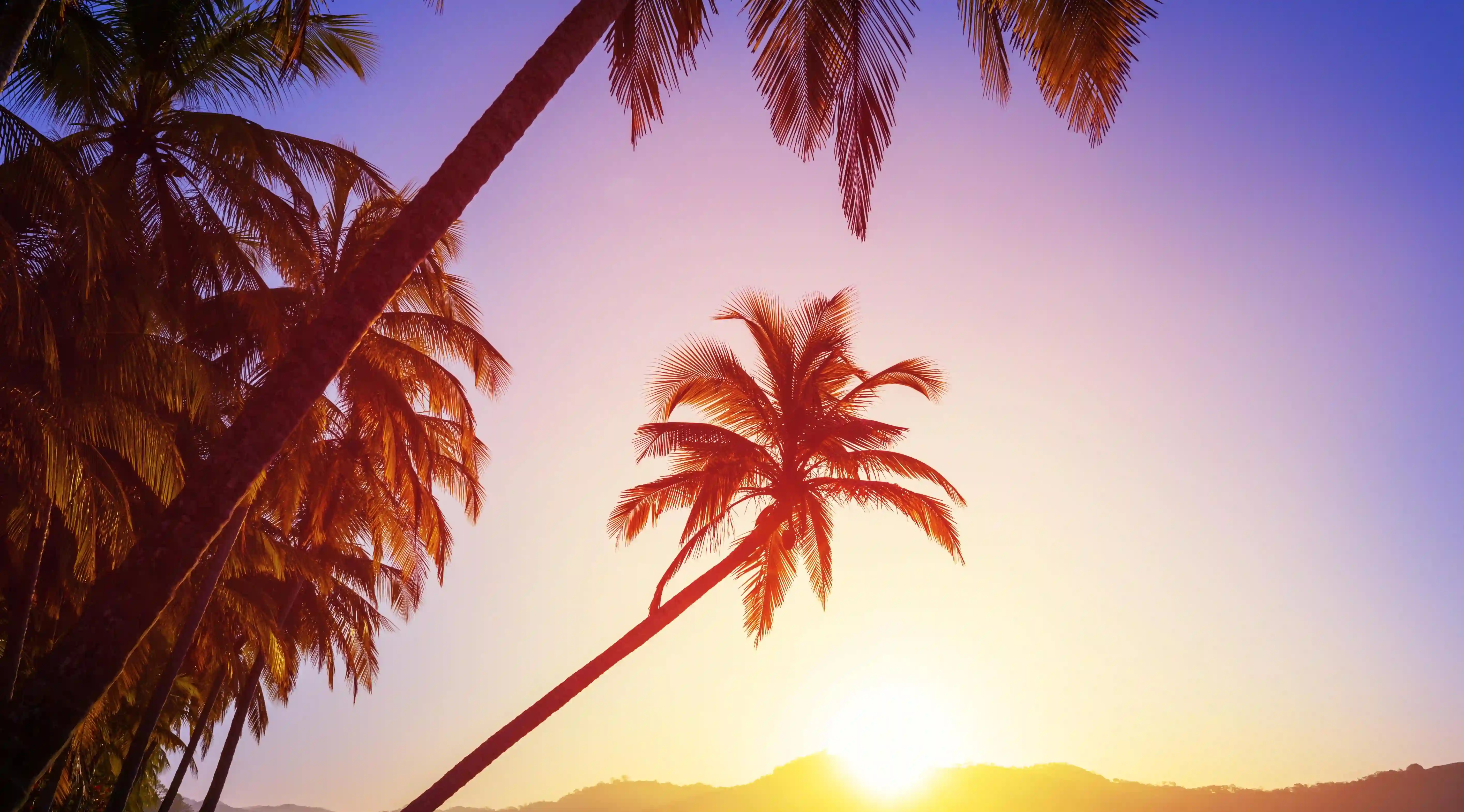 如何在朋友圈發佈引人注目的內容？五種方法讓女生為你著迷！