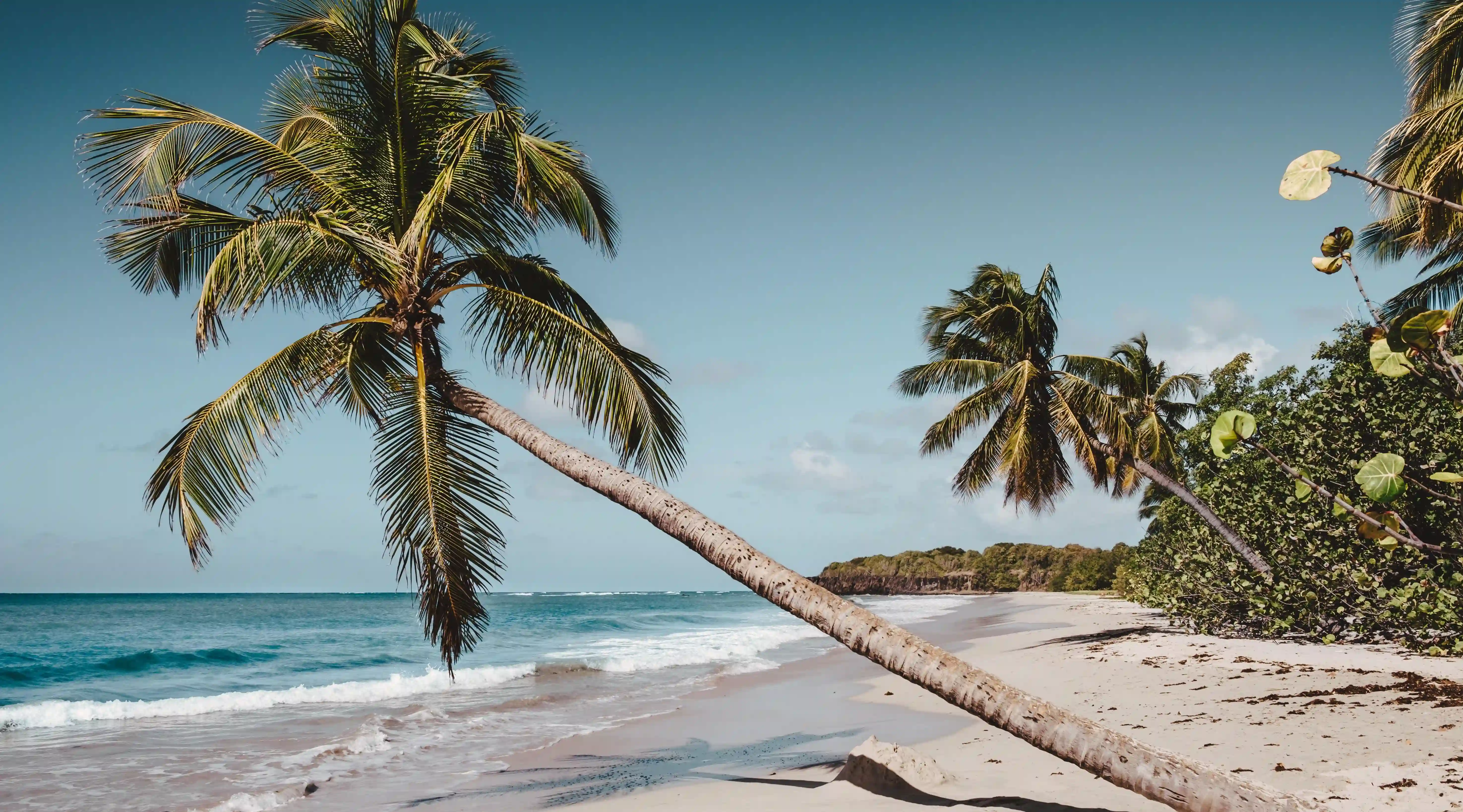 揭開愛情的真相：五大階段吵架的秘密與解決之道