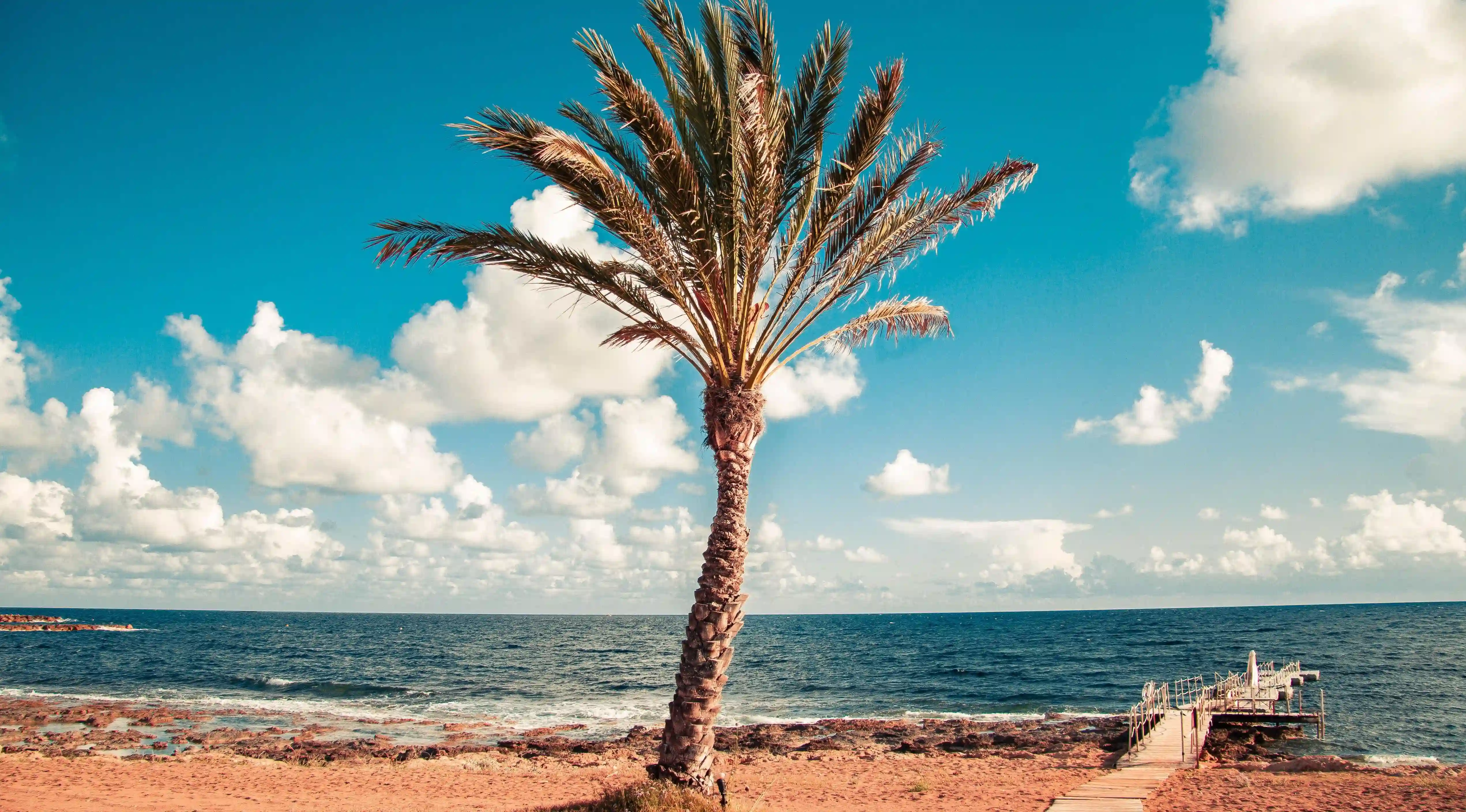 如何識別和遠離有毒友誼？五個徹底改變你生活的秘訣！